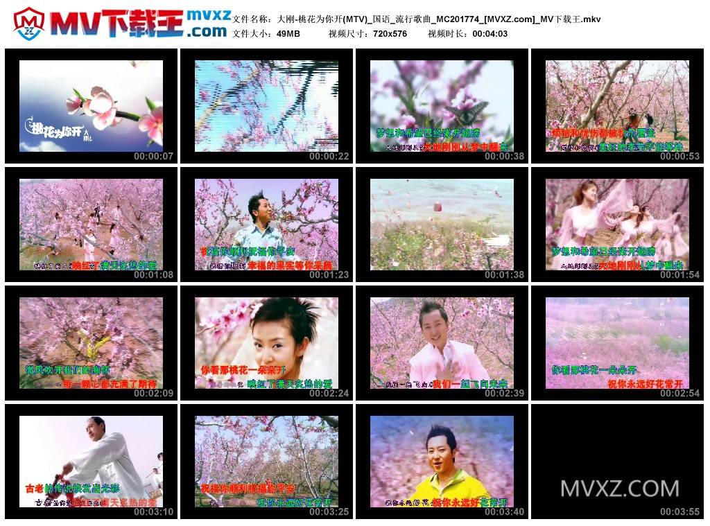 大刚-桃花为你开(MTV)_国语_流行歌曲_MC201774